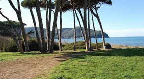 Appartamento in Villa - Image 3