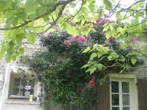 Alouette Bed & Breakfast - Image 2