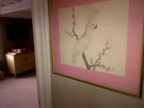The Tilling Suite - Image 2