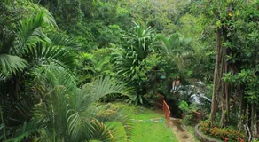 Bodhi Panama City - Image 2