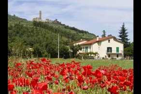 Casa San Martino - Image 3