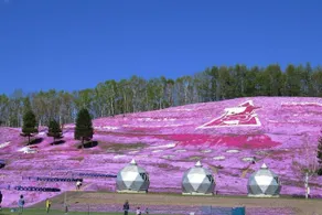 Asanebo - Image 2