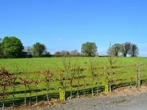 Luxurious Self Catering House Close To The Village Of Adare - Image 5