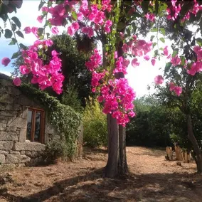 Cabana Piedra - Image 1