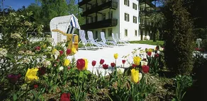 Alpina - Image 3