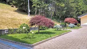 Appartamento La Casa nel Bosco - Image 2