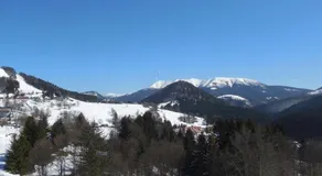 Apartman MARLEA - Image 3