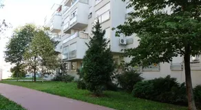 Buzi Gray - Zagreb West - Image 2