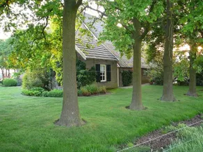 Bed & Breakfast De Aarnink - Image 5