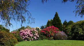 Highgrove - Image 2