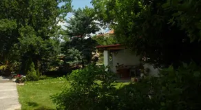 Leona - Image 2