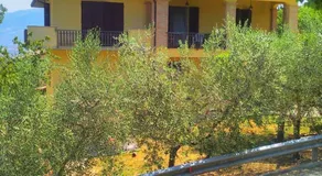 Il girasole - Image 2