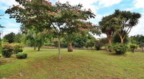 Casa Bergondo - Image 5