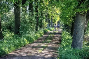 Villa Kelders - Image 2