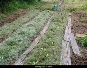 Agroturismo Il Casale Del Sapere E Del Sapore - Image 5