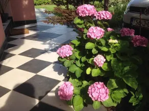 Three-Bedroom Villa Marija with Private Pool in Gedici - Image 3
