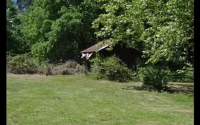 Cabane En Foret - Image 3