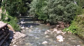 Turistična kmetija Čerček - Image 3