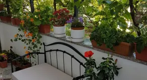 2B Apartment - Image 5