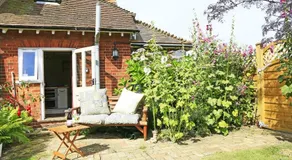 Hollyhocks - Image 5