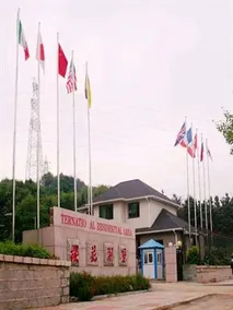 YIKANG SAKURA INN - Image 3