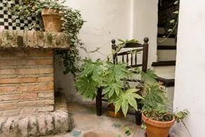 Entrópiqa Shop & Casa Entrópiqa - Image 2