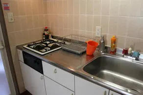 Spacious Condo in Trendy Tokyo - Image 4