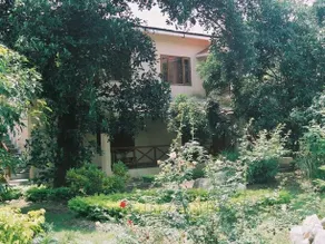 Corbett Wilds Camp and Retreat - Image 4