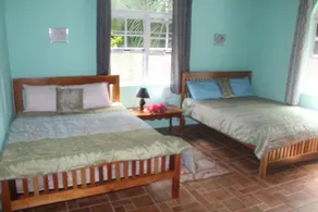 Inn The Bush Eco-Jungle Lodge - Image 3
