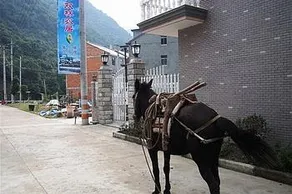 Shuanglin Bozai Farmer House No.5 Villa - Image 2