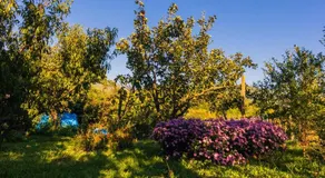 Apartments Marija - Image 2