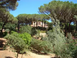 Maison Bleue Sainte-Maxime - Image 4