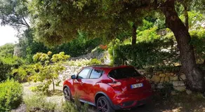 1 Trova-Ranocchietto - Image 4