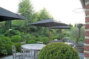 Rose Residence - Image 5