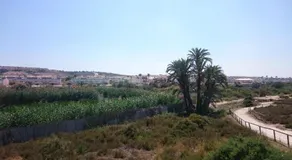 Casa Piti - Image 3