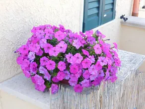 B&b Luella - Image 2