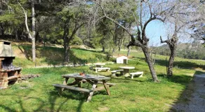 Agréable appartement de vacances avec terrasse et jardin | Avec animaux admis - Image 2