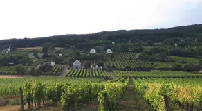 Káli 120 - Image 5