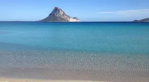 Il Gelsomino - Image 2