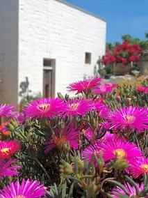 Trulli la casa di Rosa - Image 5