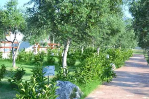 Agriturismo Antichi Ulivi - Image 4