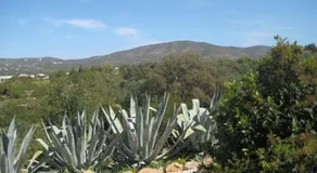 Quinta La Paz - Image 2