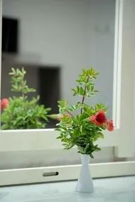 Athena Apartments - Image 3