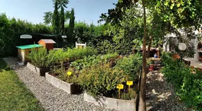 Masseria Urbana - Image 5