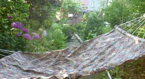 Guest House Elena - Image 2