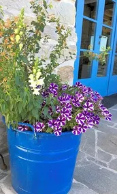 La Locanda Nel Vento - Image 2