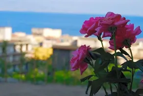 Villa Brezza Marina - Image 5