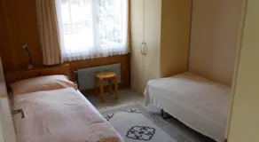 Chalet Anemone 2 - Image 3