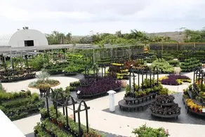 Hidden Eden - Image 2