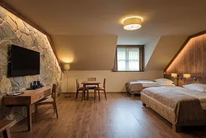 Wellness & Spa Hotel Sidonie - Image 2